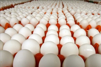 Điểm mặt những sản phẩm sẽ tăng giá sau Tết